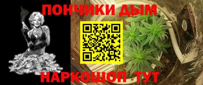шишки Можга