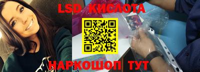 шишки Можга