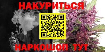 шишки Можга