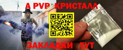шишки Можга