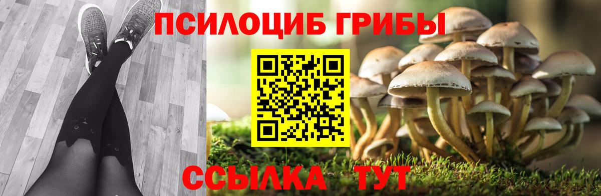 Псилоцибиновые грибы мухоморы Губкинский